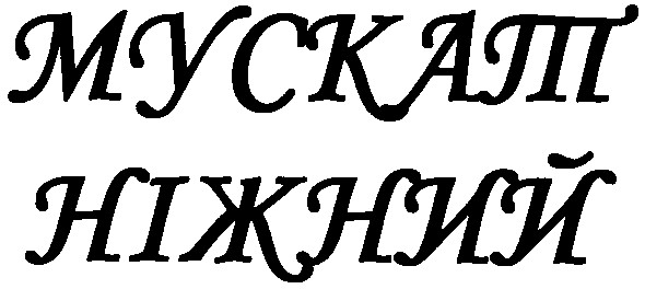 мускат ніжний