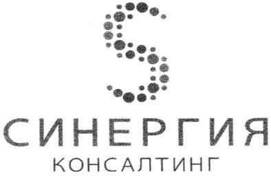 синергия консалтинг