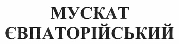 мускат євпаторійський