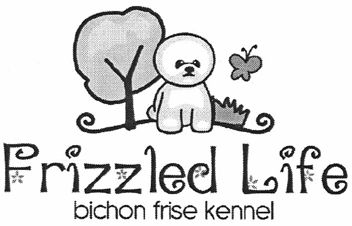 frizzled life bichon frise kennel