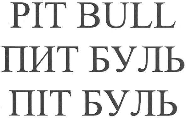 pit bull