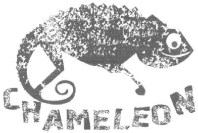 chameleon