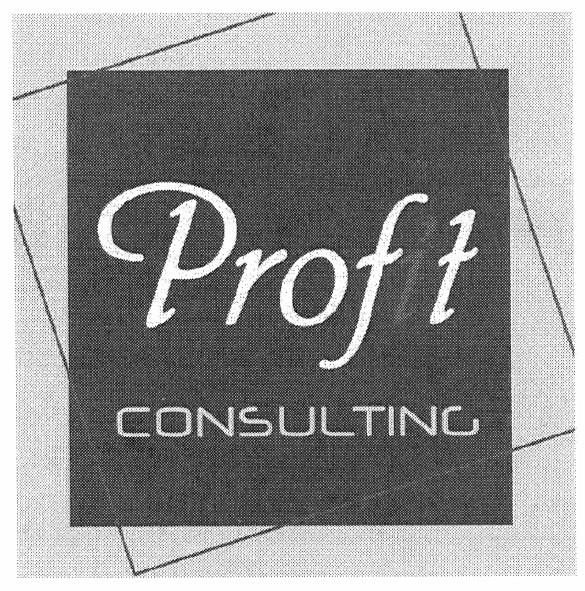 profit consulting