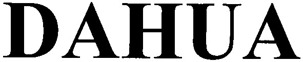 dahua