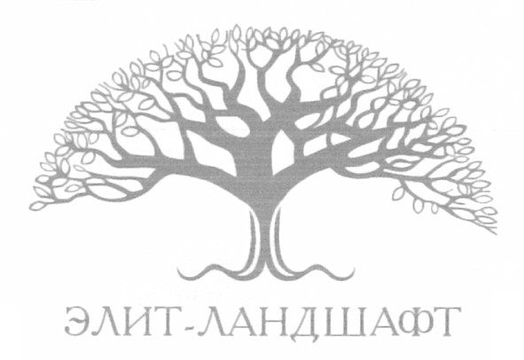 элит-ландшафт