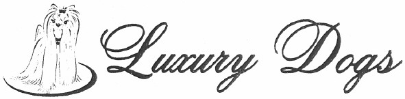 luxury dogs