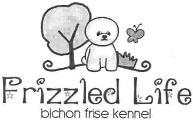 bichon frise kennel