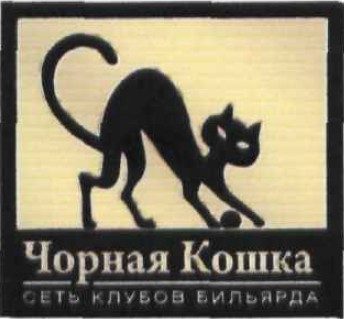 сеть клубов бильярда