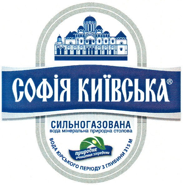 сильногазована вода мінеральна природна столова