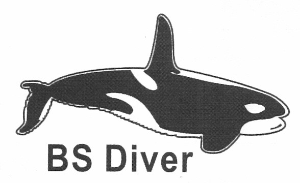 bs diver