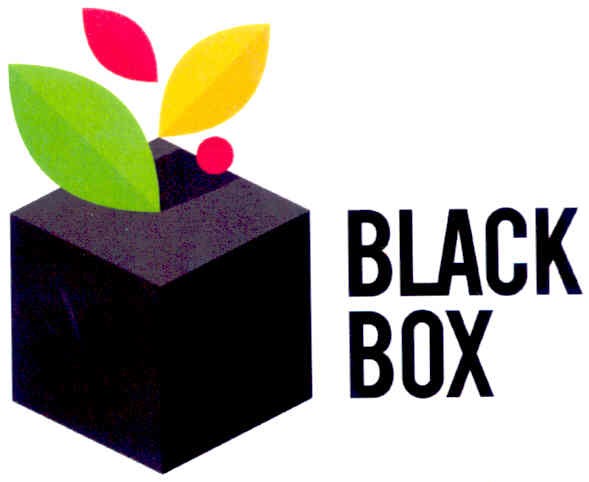 black box