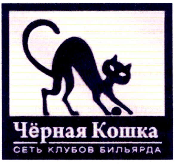 сеть клубов бильярда