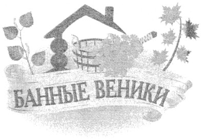 банные веники