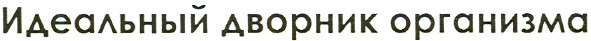 идеальный дворник организма