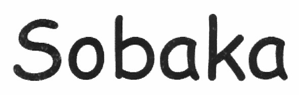 sobaka