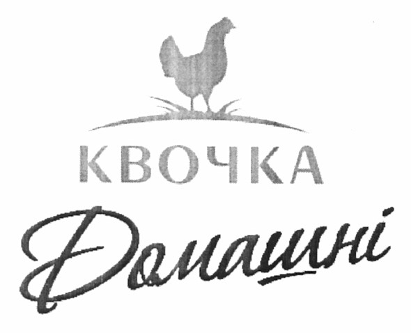 квочка домашні