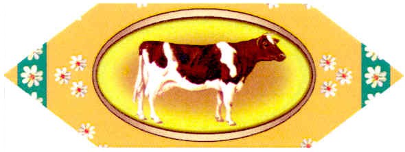 Фігуративна марка № 163473