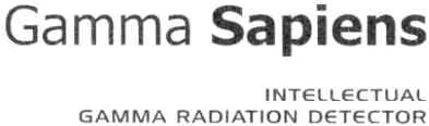intellectual gamma radiation detector