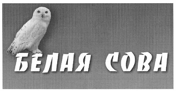 белая сова