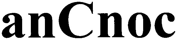ancnoc