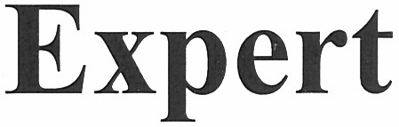 expert
