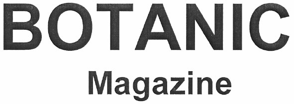 magazine