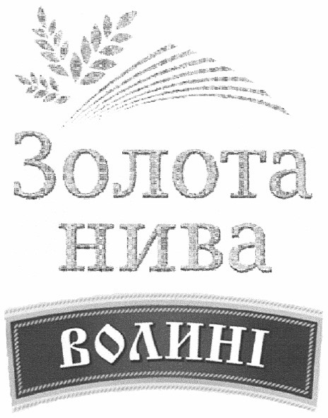 золота нива волині