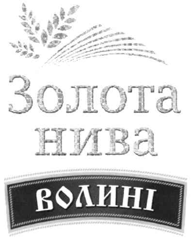 золота нива волині