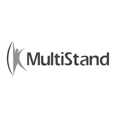 multistand