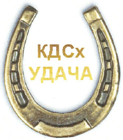 кдсх удача