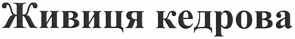 живиця кедрова