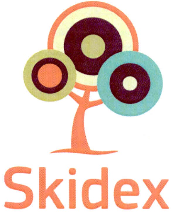 skidex