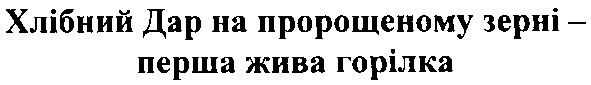 хлібний дар на пророщеному зерні - перша жива горілка
