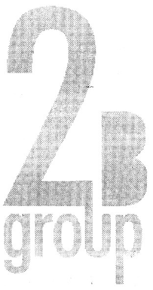 2b group