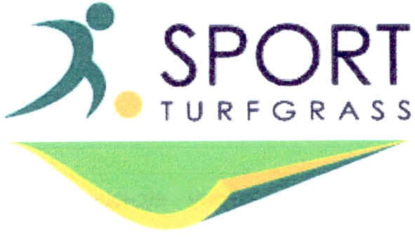 sport turfgrass