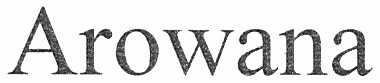 arowana