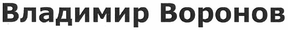 владимир воронов
