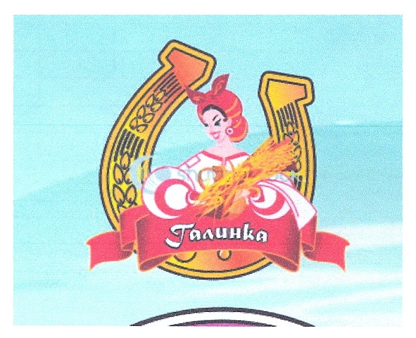 галинка