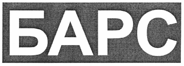 барс