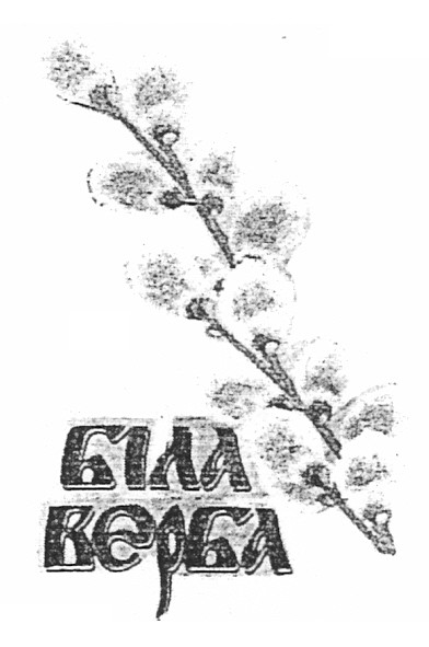 біла верба