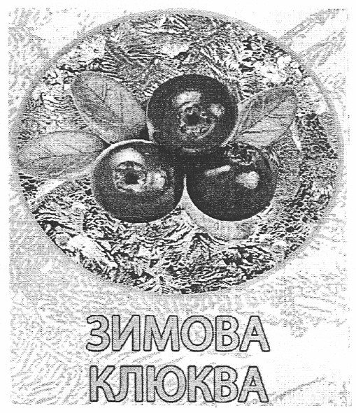 зимова клюква