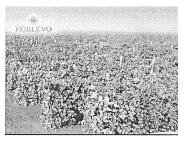 koblevo
