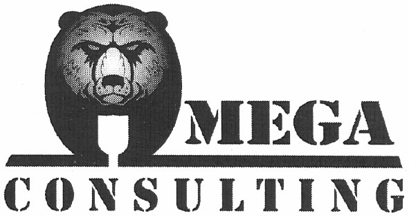 mega consulting