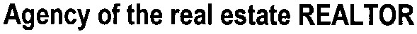 agency of the real estate realtor