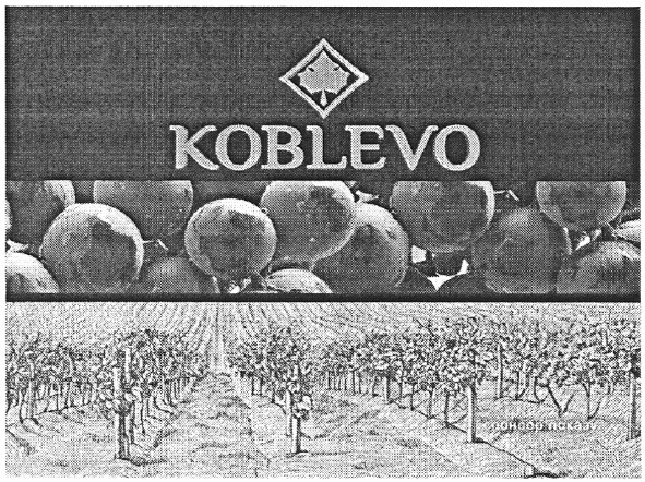 спонсор показу
