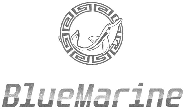 bluemarine