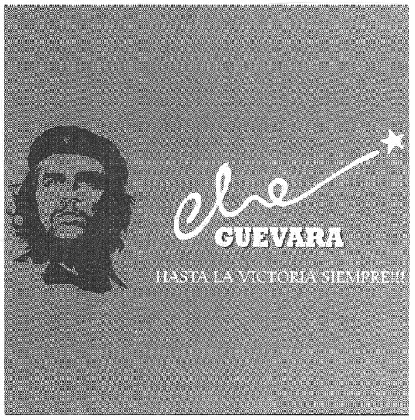 hasta la victoria siempre!!!