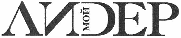мой лидер