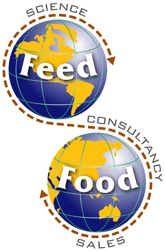 consultancy