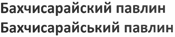 бахчисарайський павлин